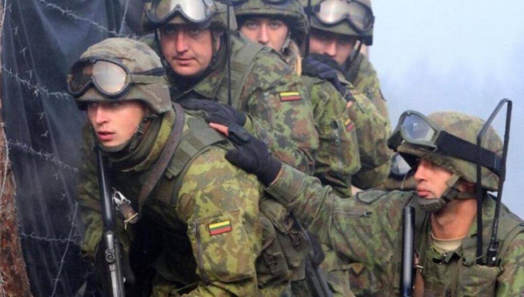 Комитет сейма Литвы по иностранным делам утвердил отправку военнослужащих в Мали