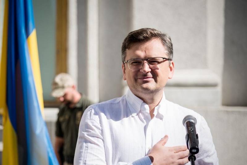На Украине рассказали, чего опасаются во время мирных переговоров с Россией