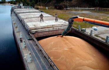На Западе рассказали, почему Москва пошла на невыгодную сделку по зерну