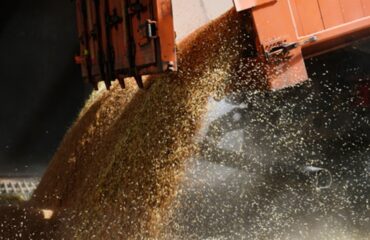 В МИД РФ заявили об автоматическом продлении зерновой сделки на 120 дней